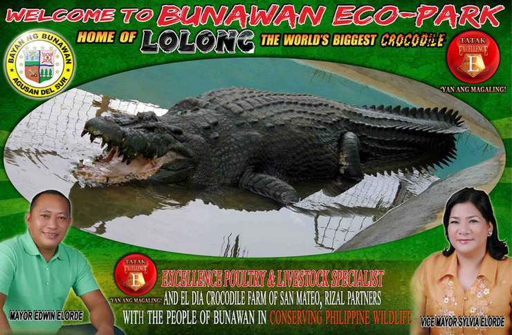 agusan saltwater crocodile